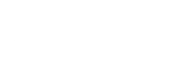 BIBS B2B DIST